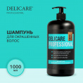 Маленькое фото товара - Шампунь для волос Delicare Professional для окрашенных волос 1л. Вариант №4