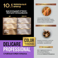 Маленькое фото товара - Стойкая крем - краска для волос Delicare Professional Color Trend 10.1 Пепельный блонд. Вариант №9