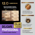 Маленькое фото товара - Стойкая крем - краска для волос Delicare Professional Color Trend 12.0 Осветление. Вариант №9