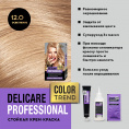 Маленькое фото товара - Стойкая крем - краска для волос Delicare Professional Color Trend 12.0 Осветление. Вариант №6