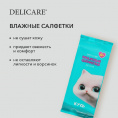Маленькое фото товара - Детские влажные салфетки Delicare mini котик Кусь 0+ 8шт. Вариант №6